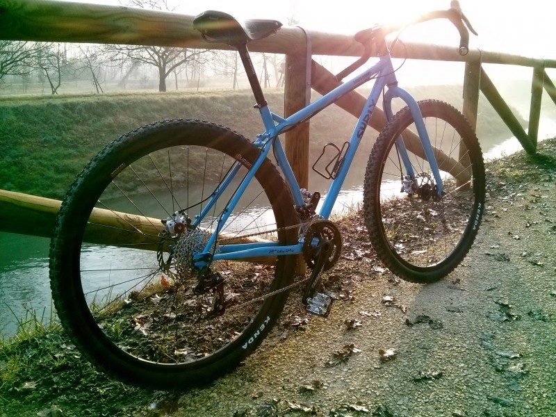 Right side view of a blue Surly Karate Monkey bike, leaning against a log rail along a trail above a stream