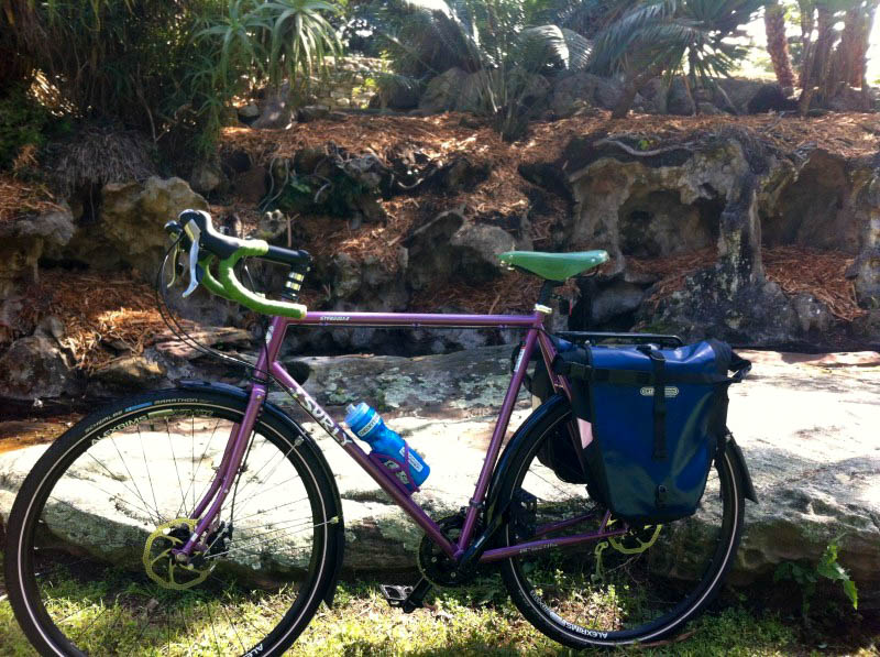 Left side view of a purple Surly Straggler bike with rear bags, with a short cliff wall with trees on top, in background