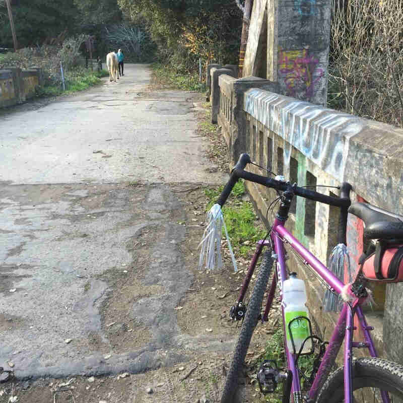 Rear, left side view of a purple Surly bike, leaning on a cement rail on a bridge, with a person walking a horse, ahead