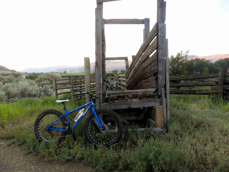 Right side view of a blue Surly fat bike, parked in brush against a livestock coral, with a field in the background