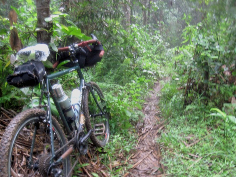 Rear, right side view of a green Surly Long Haul Trucker bike, parked beside a muddy trail in a thick jungle