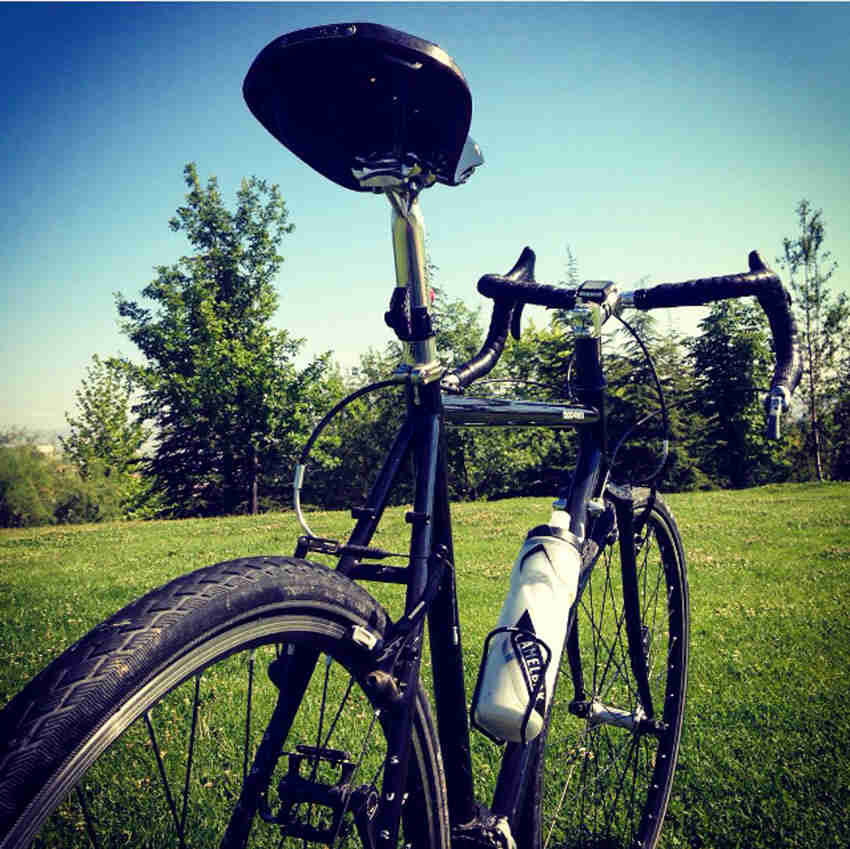 Close up, rear right side view of a black Surly Cross Check bike, parked in a grass field with trees ahead