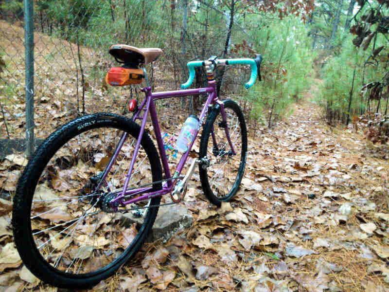Rear view of a purple Surly bike, facing down a leaf covered trail in the woods
