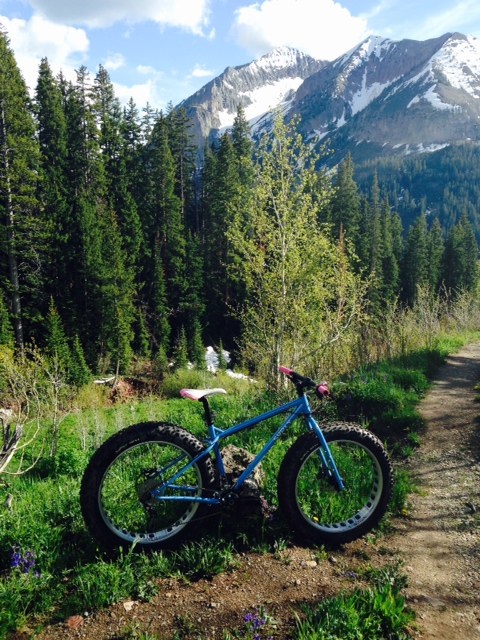 Right side view of a blue Surly fat bike on the side of a dirt trail, with pine trees and mountains in the background