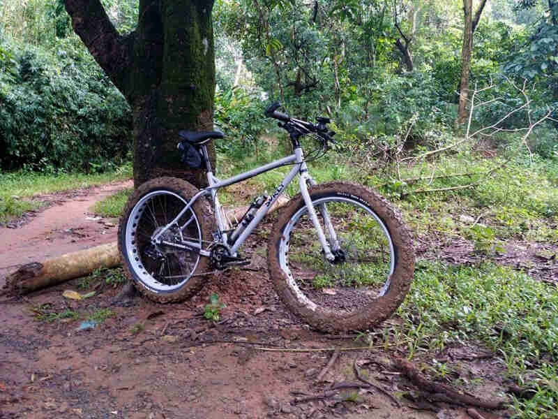 Right side view of a muddy, gray Surly Pugsley fat bike, in front of a tree in the woods