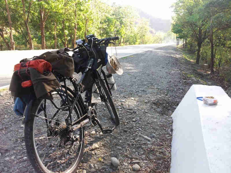 Rear, right side view of a black Surly Troll bike, loaded with gear, on a roadside with trees on both sides of the road