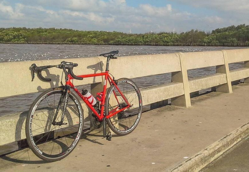 Left side view of red Surly Pacer bike, parked along a cement bridge rail, with a lake and trees in the background