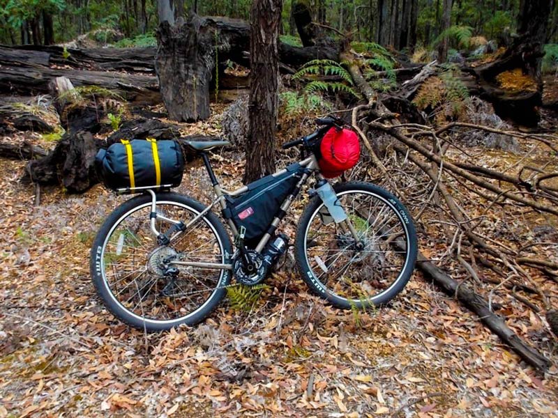Right side view of a Surly Ogre bike, loaded with gear, parked on leaves against a tree in a forest