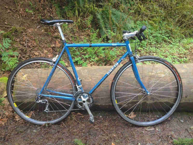 Right side view of a blue Surly Pacer bike, leaning on a large log on the ground, with plants on weeds in the background