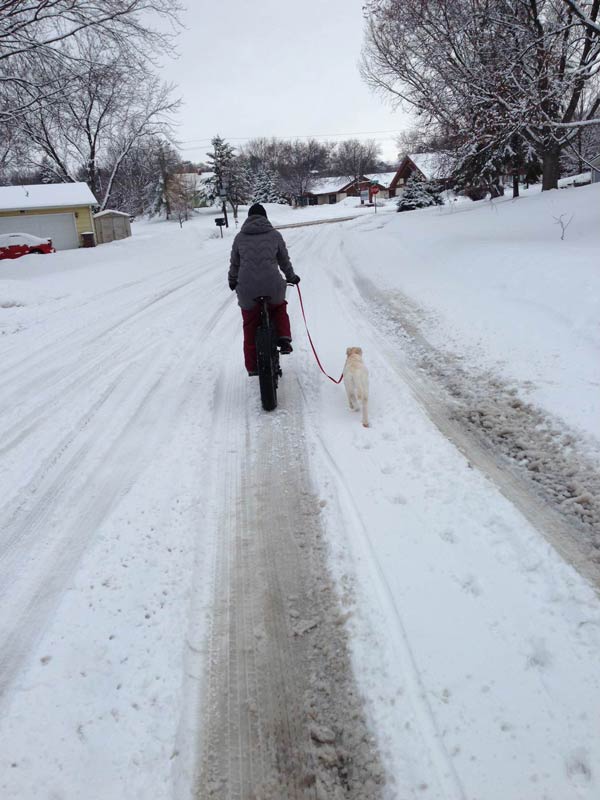 Rear view of a cyclist on a fat bike, riding down a snow covered street, holding a leash with a dog walking along