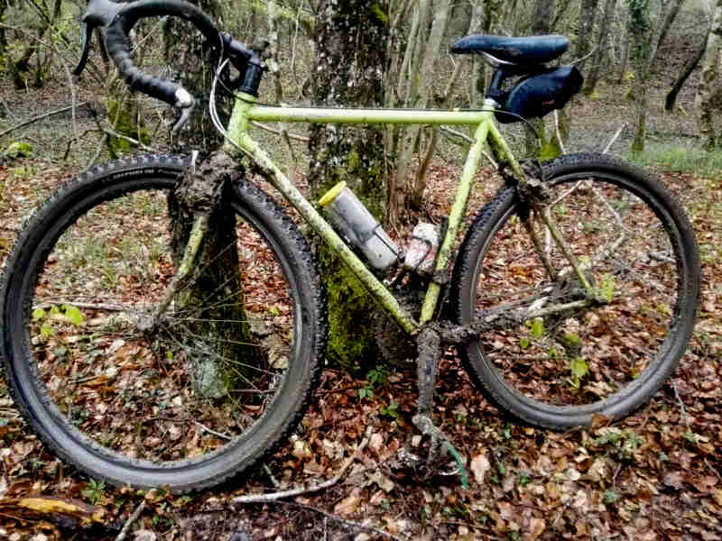 Left side view of a muddy, lime green Surly bike, parked on leaves in the woods