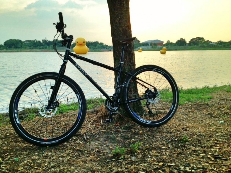 Left side view of a black Surly Troll bike, against a tree on the bank of a pond with large, yellow rubber ducks on it