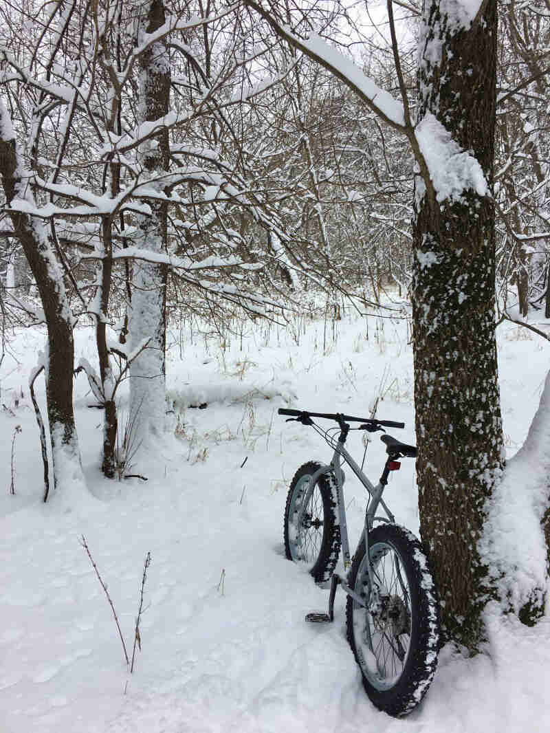 Rear view of a Surly Pugsley fat bike in deep snow, leaning on a tree, facing snowy woods
