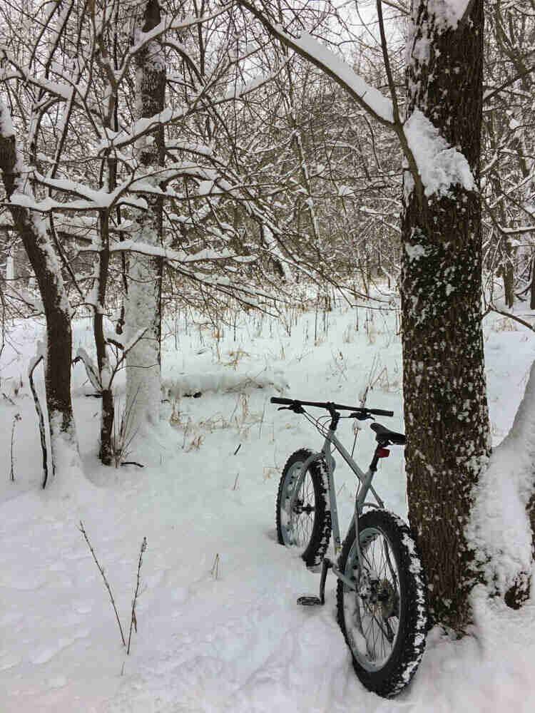 Rear view of a Surly Pugsley fat bike, leaning on a tree in deep snow, facing into a snowy forest