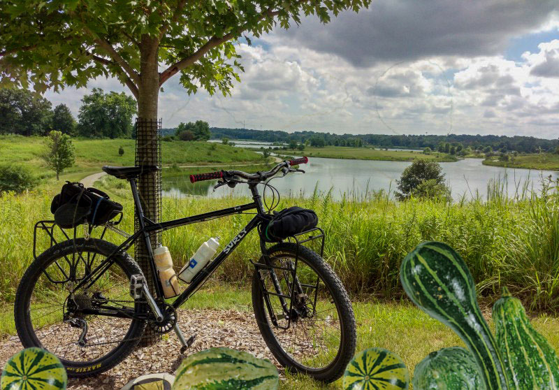 Right side view of a black Surly Troll bike leaning against a tree, with a pond behind it - gourd graphics below