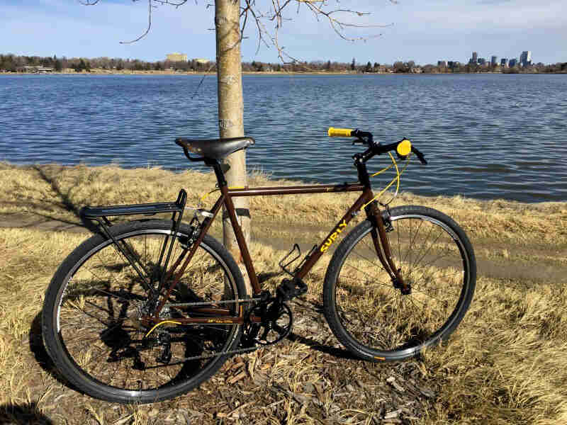 Right side view of a brown Surly bike, parked on grass in front of a tree , with a lake and a city in the background