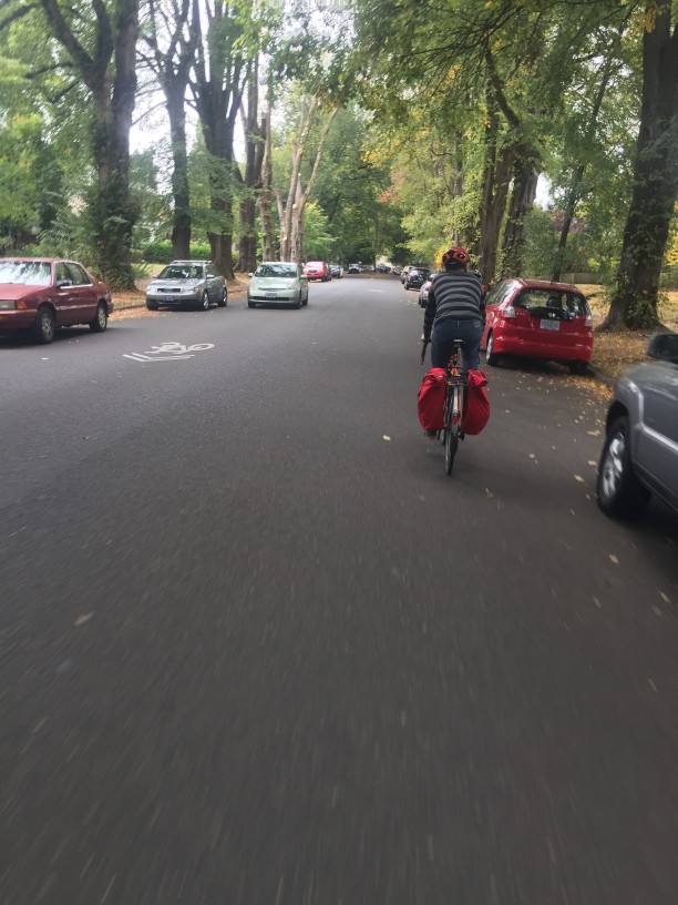 Rear view of a cyclist riding a bike with red saddlebags, down a street with cars and trees to the sides