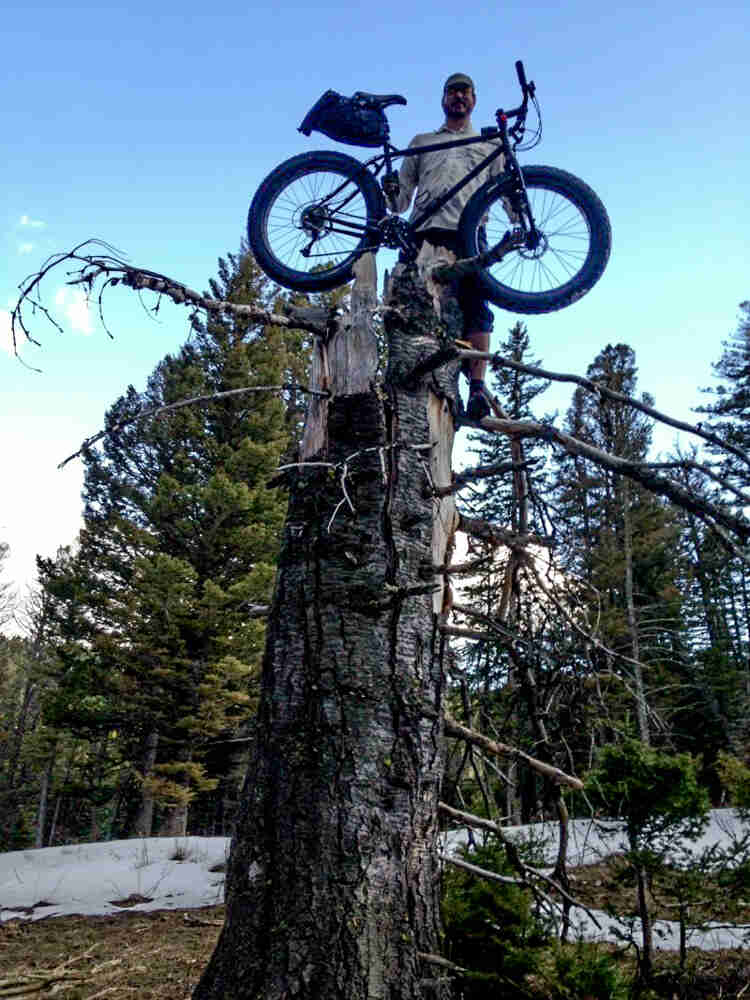 Front view of a cyclist standing on a tree truck, holding their Surly Pugsley fat back, with a snowy forest behind