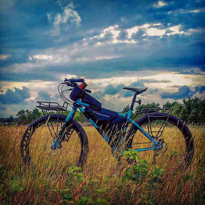 Left profile of a turquoise Surly bike, parked in a prairie grass field, with trees in the background