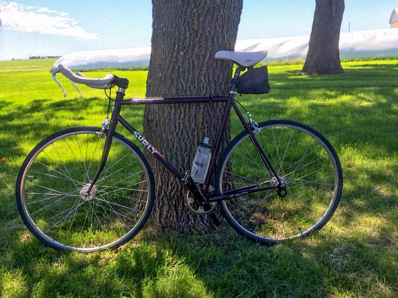 Left side view of a Surly Steamroller bike, parked against the base of a tree in a grassy field