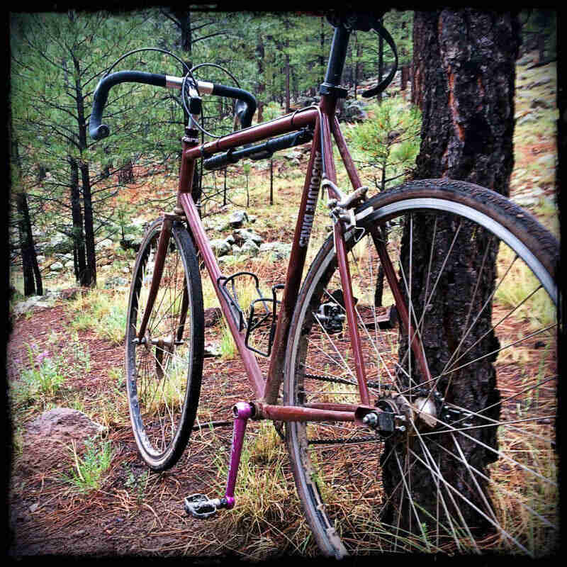 Rear view of a Surly Steamroller bike, dark red, parked on pine needles in a forest