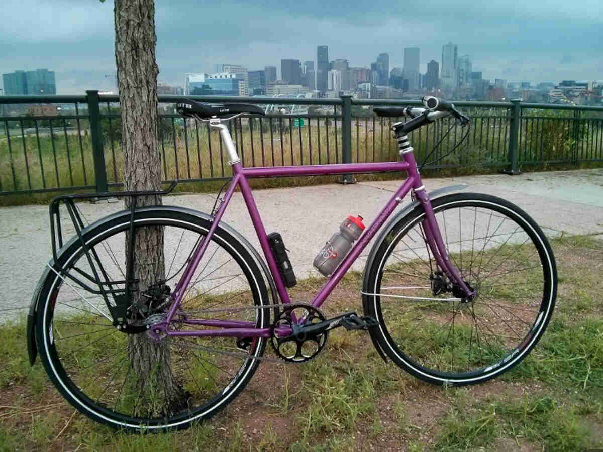 Right side view of a purple Surly Straggler bike, leaning on a tree next to a sidewalk, with a city skyline behind