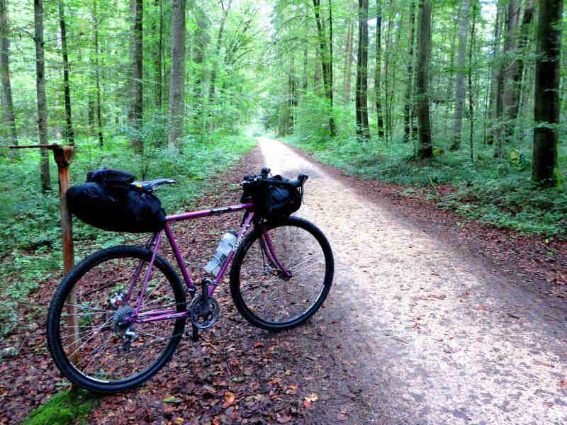 Right side view of a purple Surly Straggler bike with front and rear packs, parked along a muddy trail in a forest