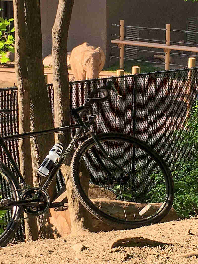 Right side view of a black Surly Straggler bike, parked in dirt against a tree, with an elephant pen in the background