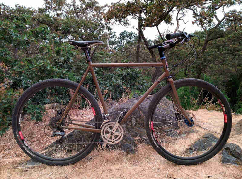 Right side view of a brown Surly Straggler bike, parked on brown grass in front of a rock, with trees in the background