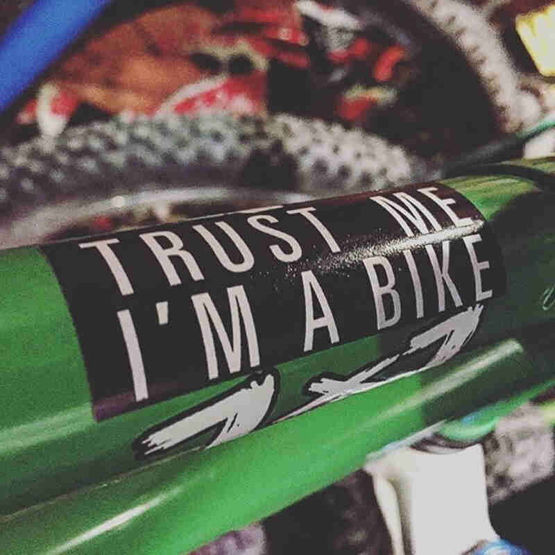 Close up view of a green Surly 1x1 bike frame tube with a sticker attached that reads, Trust Me I'm a Bike