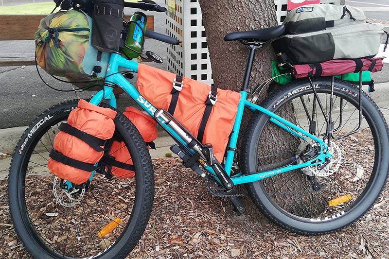 Light blue Surly Bridge Club bike leaning against tree fully loaded for bikepacking