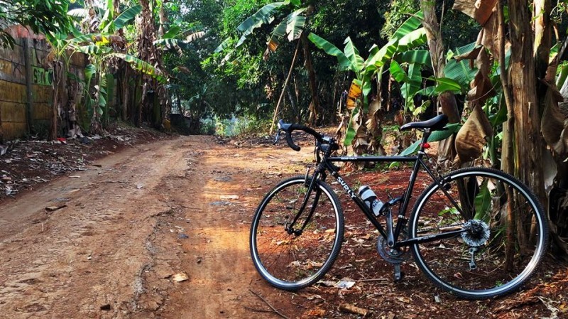 Left side view of a black Surly Cross Check bike, parked on the side of a dirt road, next to a palm tree in the jungle