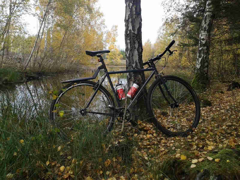 Right side view of a black Surly bike, leaning against a tree, on a leafy bank of a pond in the woods