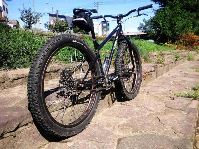Rear, right side view of a black Surly 1x1 bike, parked across stone steps, with city buildings in the background