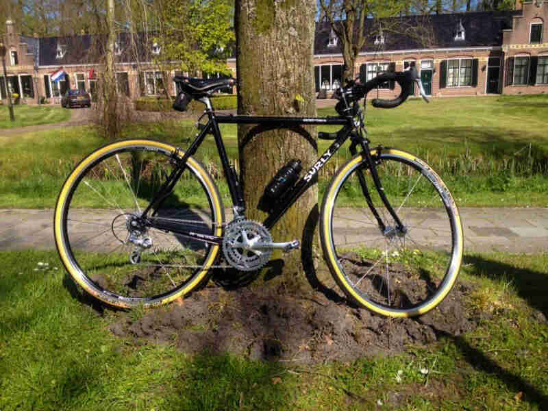 Right side view of a black Surly bike, parked in front of a tree next to a paved tree, with a building in the background