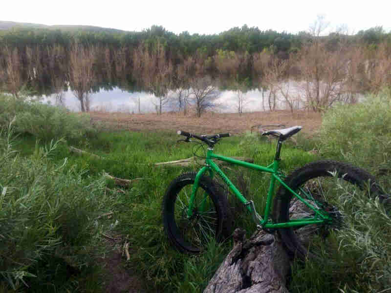 Left side view of a green Surly fat bike, parked in tall grass over a log, with a pond and trees in the background