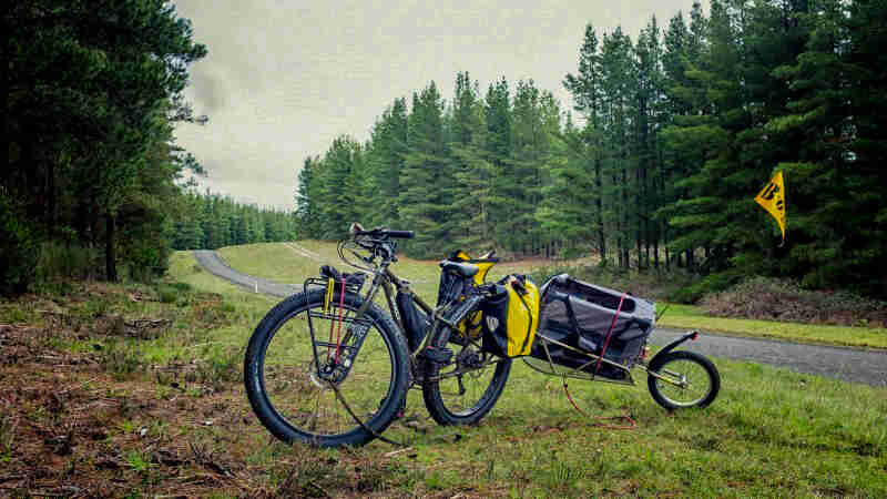A Surly ECR bike, parked in a grass field next to a paved trail in a pine tree forest