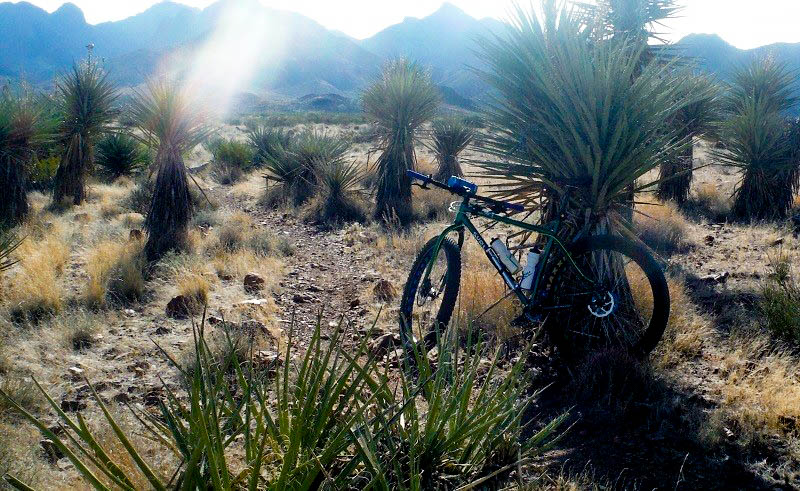 Left side view of a green Surly bike, parked against a short, spiny tree in brushy desert, with mountains in background