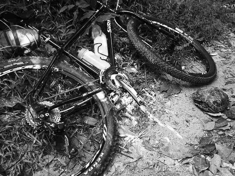 Downward view of a Surly Troll bike, laying in the weeds, next to a sandy trail with a turtle on it - black and white