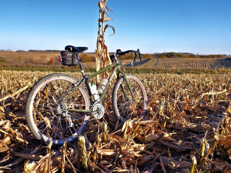 Rear, right side view of an green Surly Ogre bike, leaning on a single, standing cornstalk, in a field of picked corn