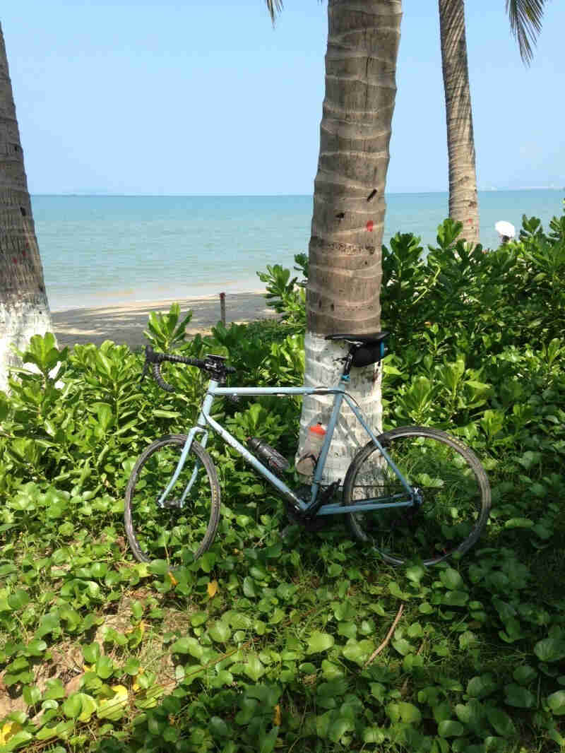 Left side view of a Surly bike, light blue, parked in plants, leaning on palm tree, with the ocean in the background