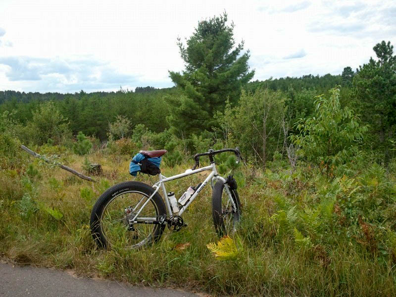 Right side view of a Surly bike, white, parked in deep weeds next to a paved trail, with a forest in the background