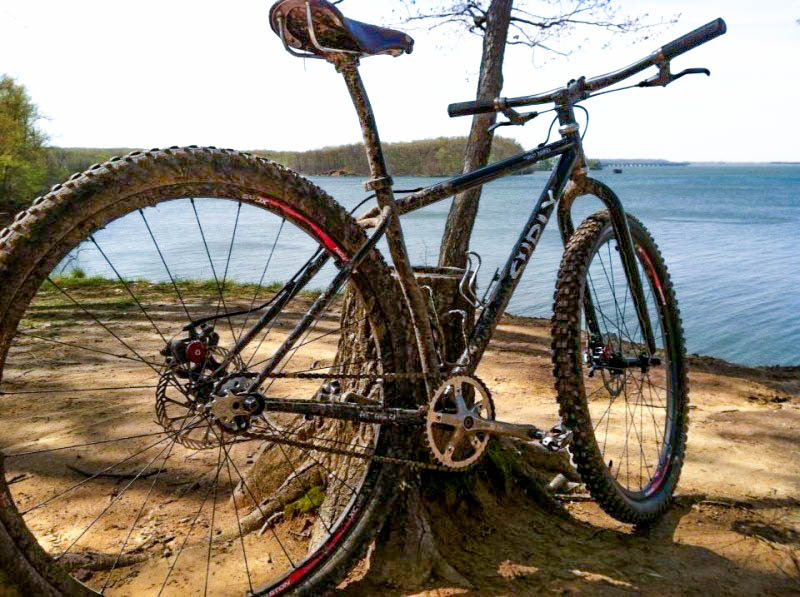 Rear, right side view of a black Surly Karate Monkey bike, parked against a tree stump, on a dirt bank facing a lake