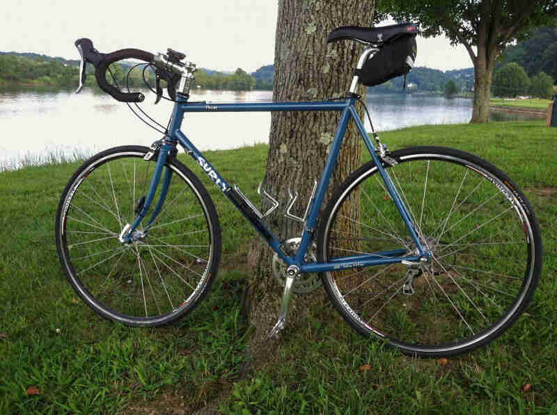 Left profile of a blue Surly Pacer bike, parked on grass in front of a tree, with a lake in the background