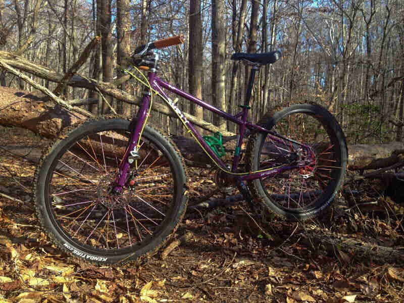 Left side view of a purple Surly bike, parked in the woods with no leaves on the trees