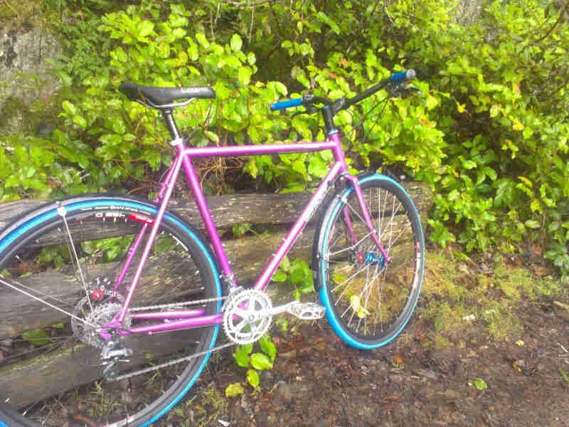 Right side view of a raspberry Surly Straggler, leaning against a wood fence with bushes behind it