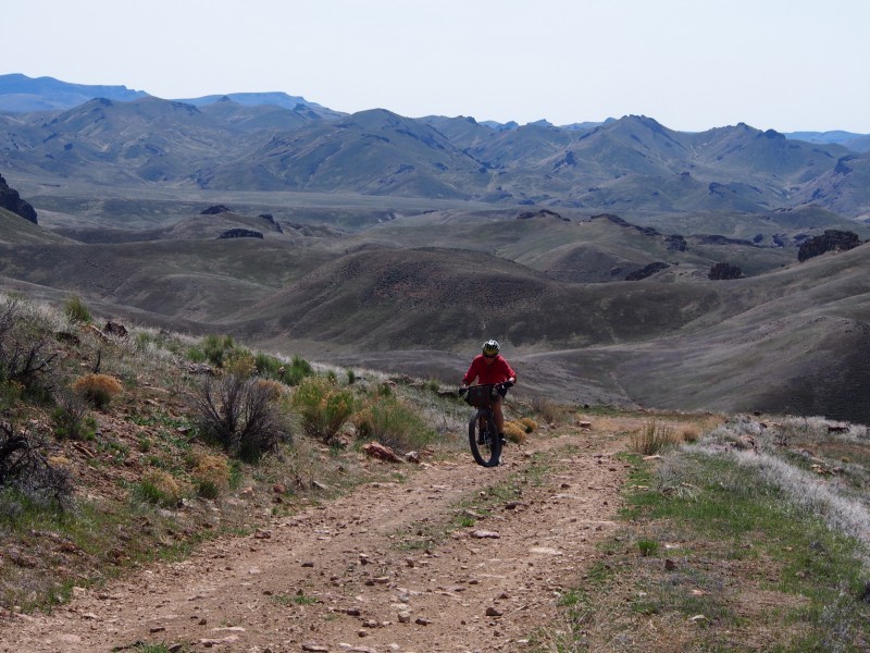 Front view of a cyclist riding a Surly bike with gear, up a hill on a gravel road, in the desert mountains