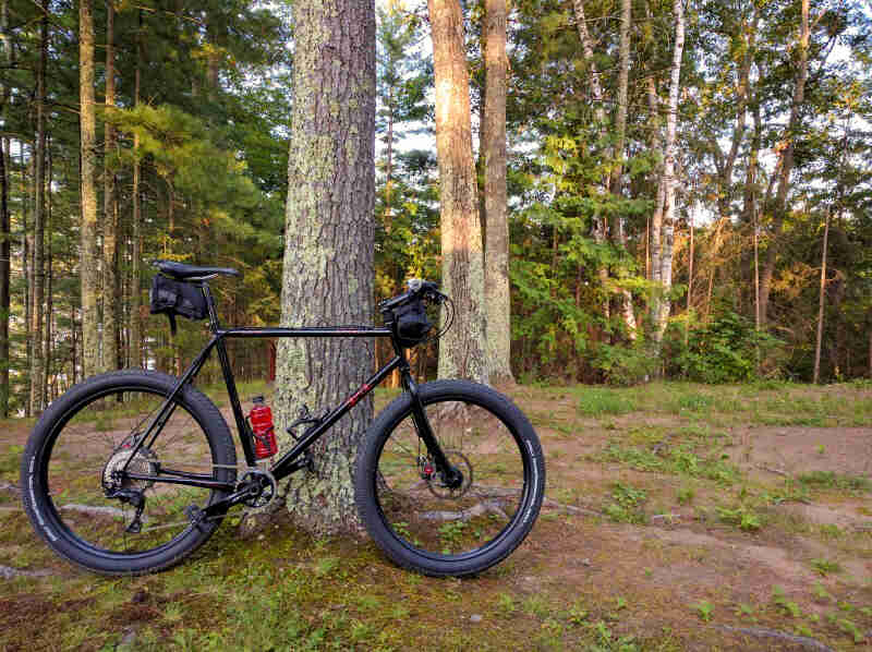 Right profile of a black Surly bike, in front of the base of a tree, with a forest in the background