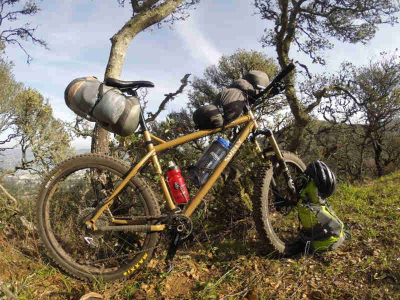 Right side view of a mustard yellow Surly bike with gear packs, parked along a tree line on the edge of a hilltop