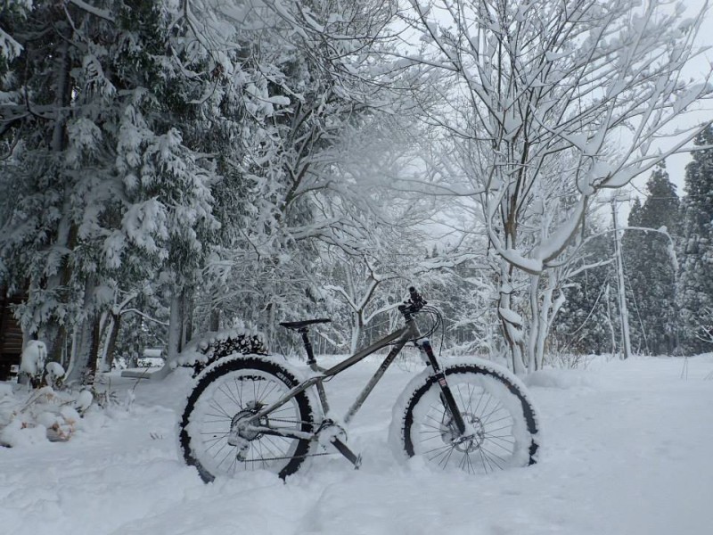 Right side view of a Surly Ice Cream Truck fat bike, parked in a field of deep snow and snowy trees